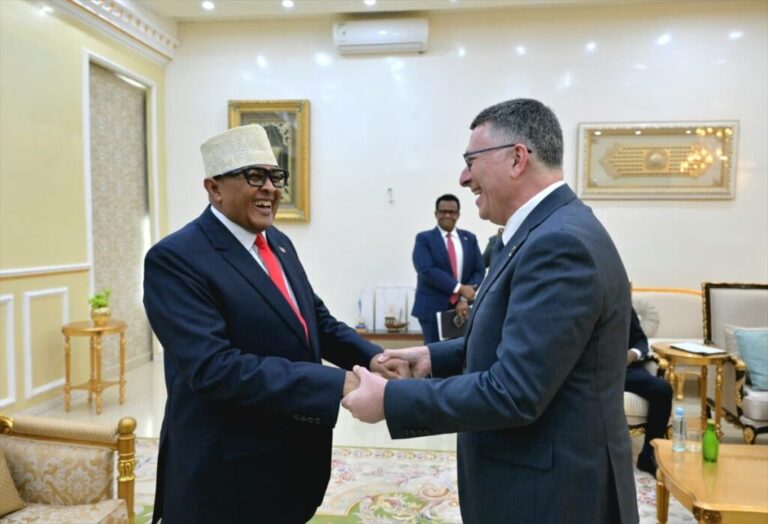 ‘Cynical’ and ‘sinister’: Analysts question Israel’s motives in recognising Somaliland