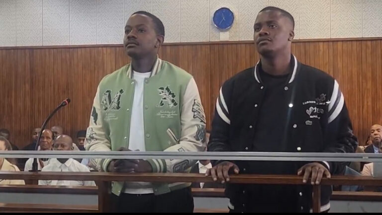 Mugabe’s son and co-accused plead guilty to pointing a firearm and shooting gardener at Hyde Park home